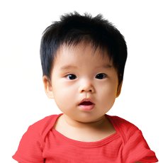 Carry Around Animal Town