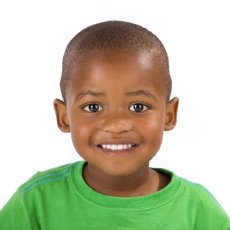 Carry Around Animal Town