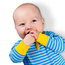 Carry Around Animal Town