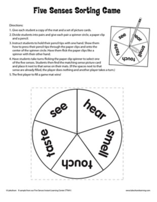Five Senses Sorting Game
