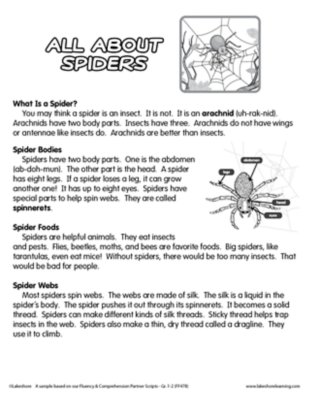 All About Spiders Fluency Practice