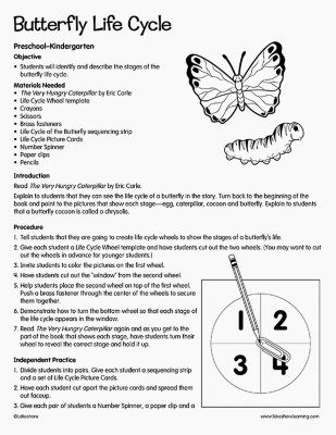 Butterfly Life Cycle