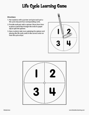 Life Cycle Learning Game