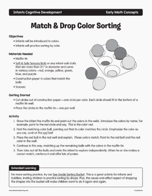 Match & Drop Color Sorting
