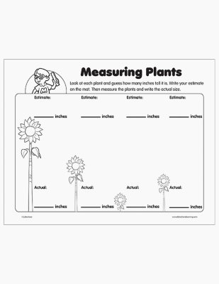 Measuring Plants Math Activity