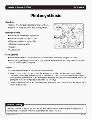 Photosynthesis
