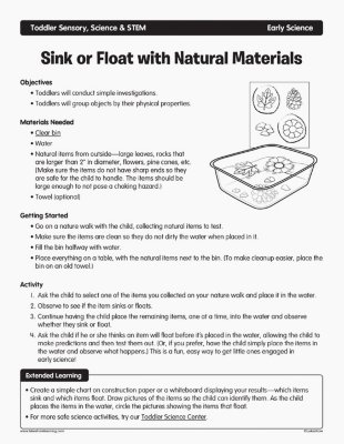Sink or Float with Natural Materials
