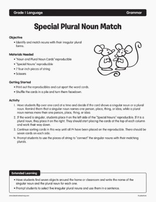 Special Plural Noun Match