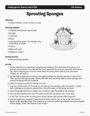 Sprouting Sponges