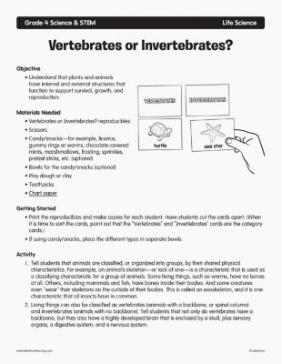 Vertebrates or Invertebrates?
