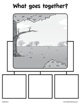 What Goes Together? Sorting Game