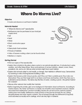 Where Do Worms Live?