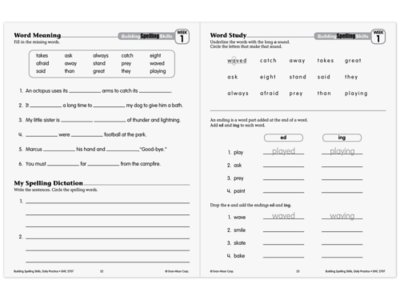 Building Spelling Skills Workbook&nbsp;- Gr.&nbsp;3