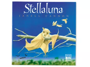 Stellaluna Big Book