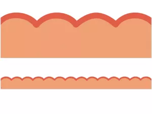 Color Crush Orange Scalloped Border