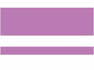 Color Crush Purple Border