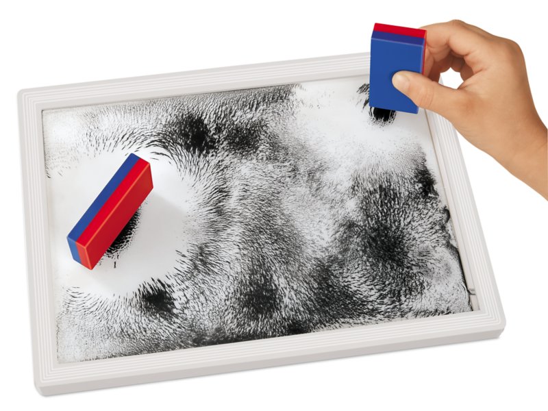 Field Wonder Window at Lakeshore Learning