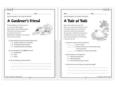 Comprehension Skills Workbook&nbsp;- Gr.&nbsp;2
