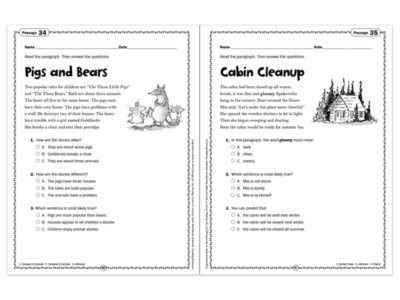 Comprehension Skills Workbook&nbsp;- Gr.&nbsp;2
