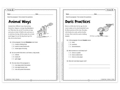 Comprehension Skills Workbook&nbsp;- Gr.&nbsp;3