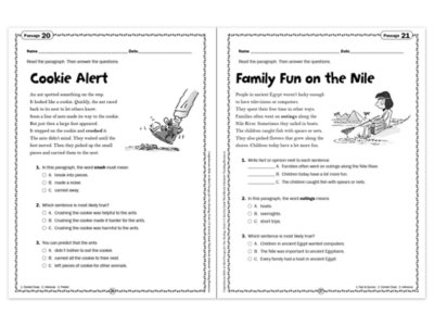 Comprehension Skills Workbook&nbsp;- Gr.&nbsp;3