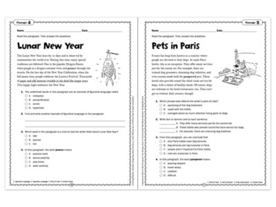 Comprehension Skills Workbook&nbsp;- Gr.&nbsp;4