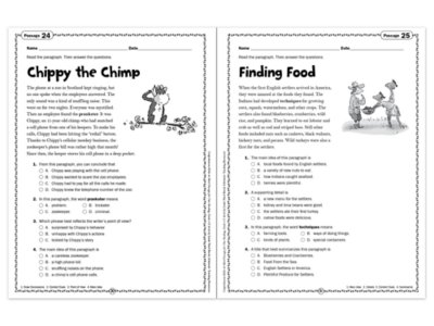 Comprehension Skills Workbook&nbsp;- Gr.&nbsp;4