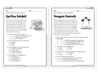 Comprehension Skills Workbook&nbsp;- Gr.&nbsp;5
