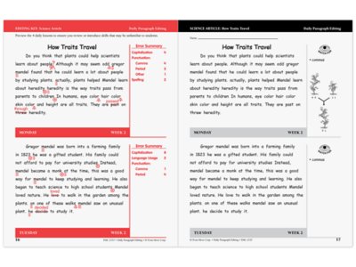 Daily Paragraph Editing Workbook&nbsp;- Gr.&nbsp;4