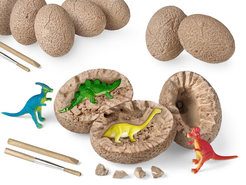Science 4 You 8 Choices Dinosaur Dino Eggs Online Book Educational Toy New 