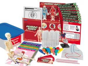 Human Body Activity Tub&nbsp;- Gr.&nbsp;<span style="white-space: nowrap;">4-6</span>