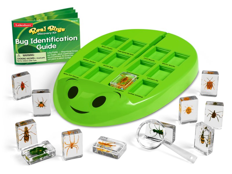 Real Bugs Discovery Kit at Lakeshore Learning