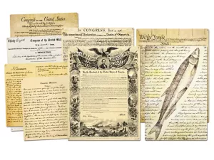 Primary Source Magnetic Poster Pack