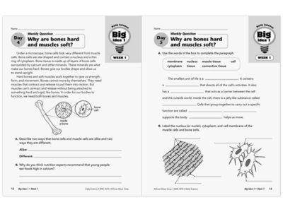Daily Science Reproducible Activities Workbook&nbsp;- Gr.&nbsp;5