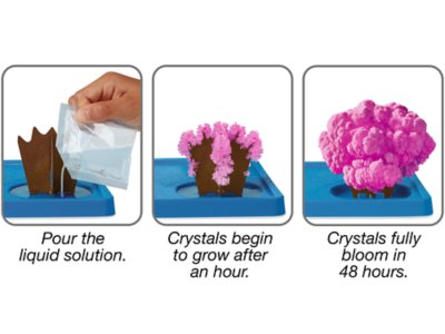 Animal Kingdom Magic Crystal Growing Kits&nbsp;- Complete Set
