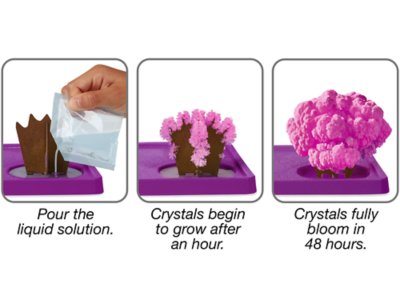 Dinosaurs Magic Crystal Growing Kit