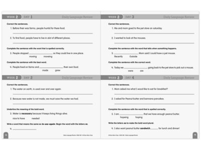 Daily Language Review Workbook&nbsp;- Gr.&nbsp;3