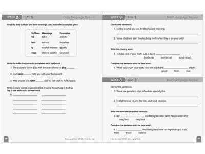 Daily Language Review Workbook&nbsp;- Gr.&nbsp;3