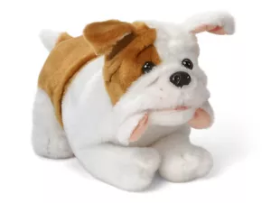 Pet Dog