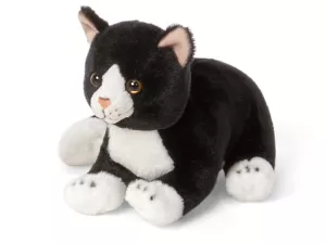 Pet Cat