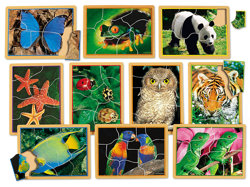 Animals Up Close Puzzle Set
