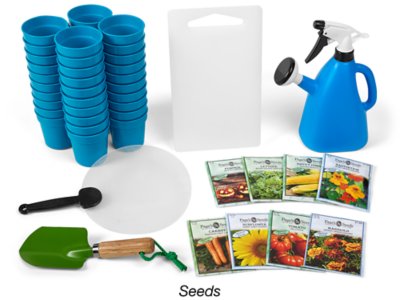 The Creative Curriculum<sup>®</sup> Pre-K Study Basics Kit