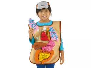 What’s Inside Me? Apron