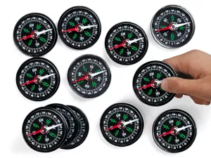 Student Compasses 
