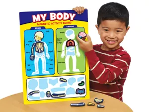 My Body Magnetic Activity Board