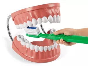Learn to Brush Demonstration Kit