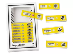 Plants Prepared Slide Kit