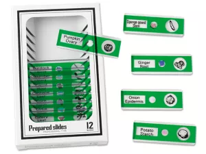 Vegetables Prepared Slide Kit
