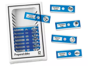 Animals Prepared Slide Kit