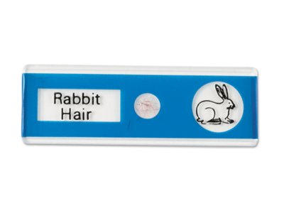 Animals Prepared Slide Kit